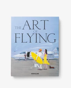 Online De Kunst Van Het Vliegen Reis