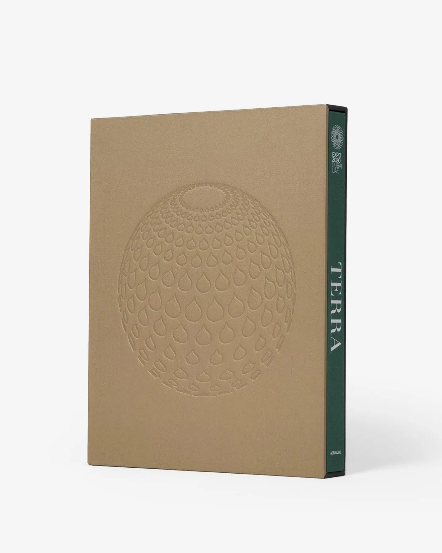 Best Expo 2020 Dubai: Terra-The Sustainability Pavilion Architectonisch Ontwerp