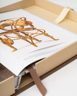 New Lalanne: Een Wereld Van Poezie Kunst