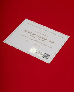 Sale Paris Saint Germain Sportwagens