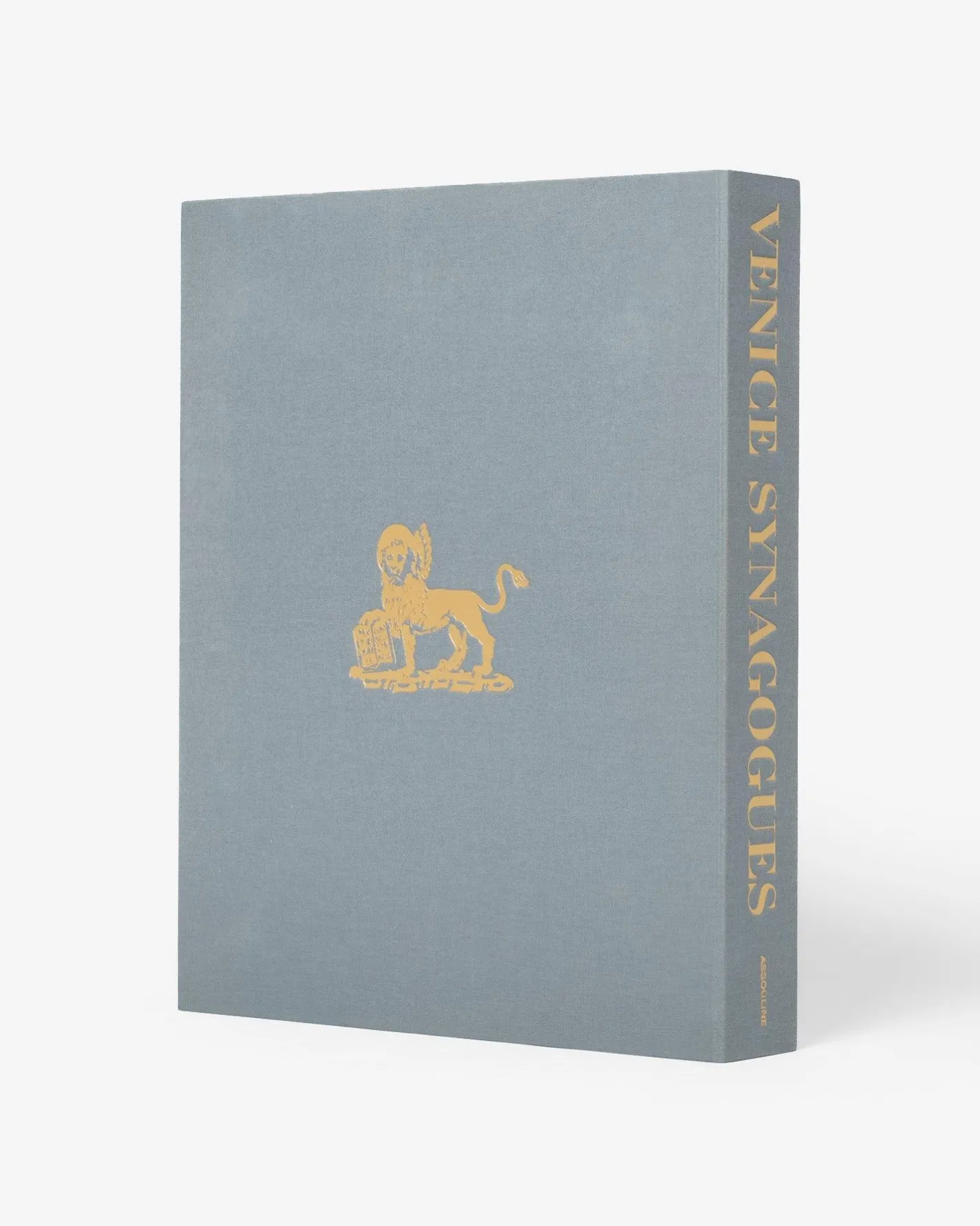 Synagogen Van Venetie Architectonisch Ontwerp