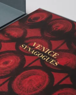 Synagogen Van Venetie Architectonisch Ontwerp