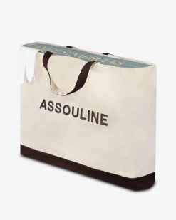 Synagogen Van Venetie Architectonisch Ontwerp