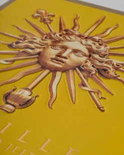Sale Versailles: Van Lodewijk Xiv Tot Jeff Koons (Speciale Editie) Kunst